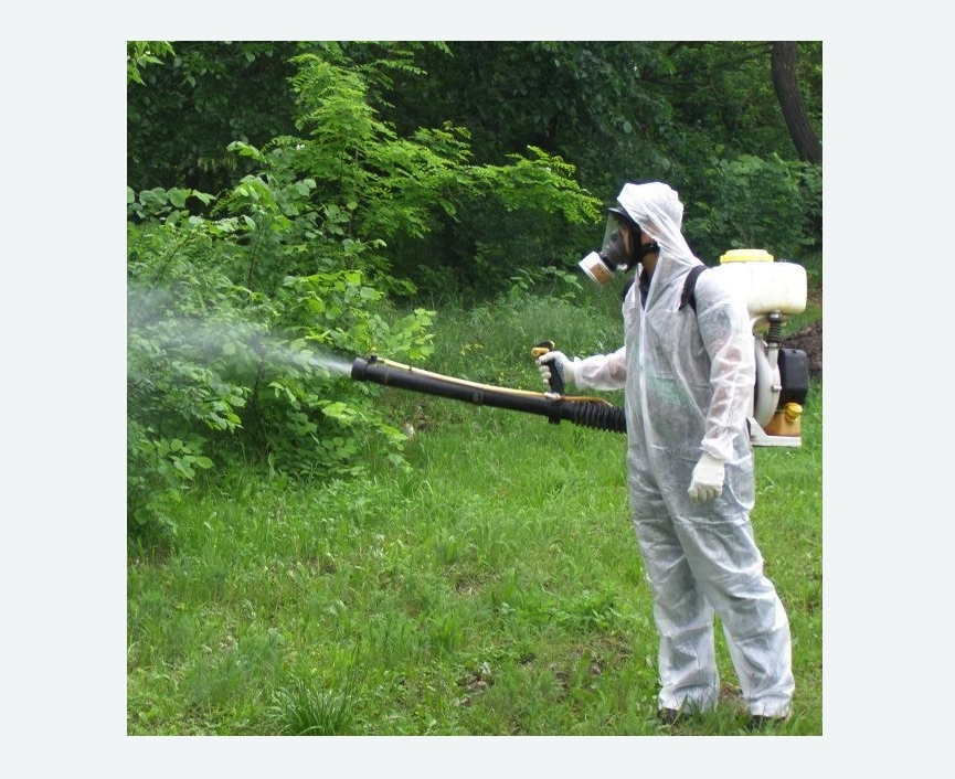 обработка территории от клещей в Новом Осколе