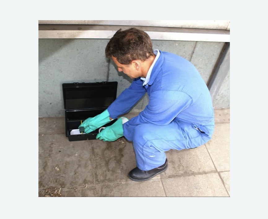 Дератизация помещения в Новом Осколе Дератизация помещения