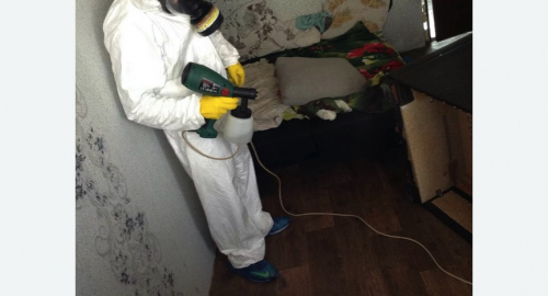 Обработка квартир от насекомых в Новом Осколе