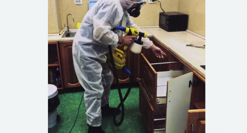 Дезинсекция квартиры. Новый Оскол