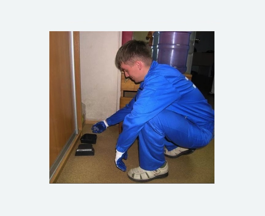 Дератизация крыс в Новом Осколе