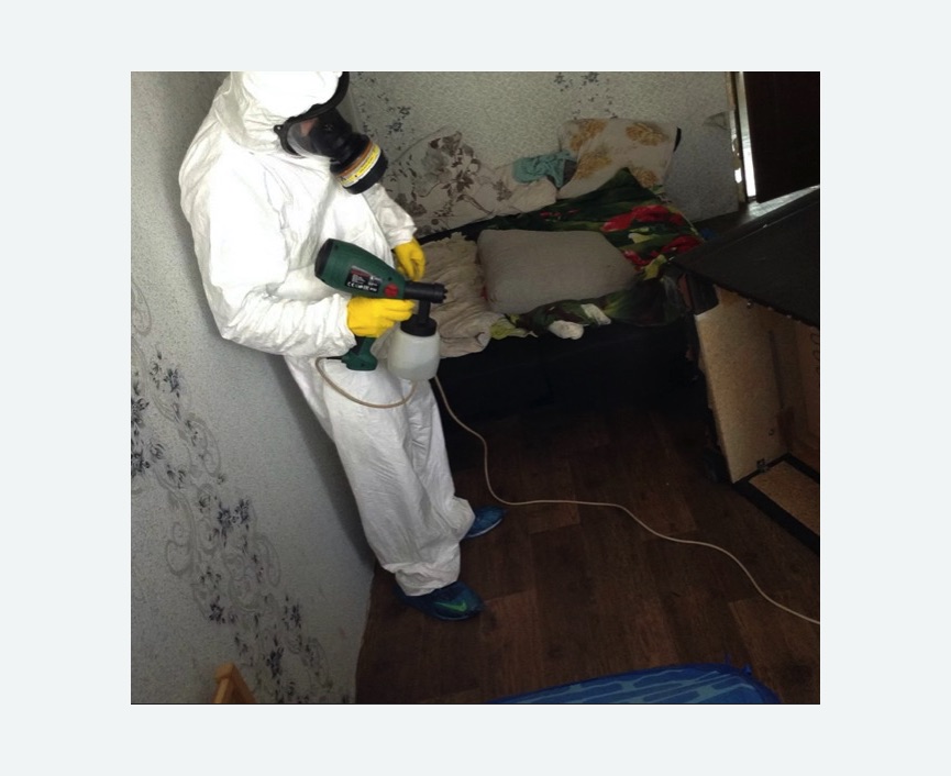 Обработка от насекомых в Новом Осколе Обработка квартиры от насекомых