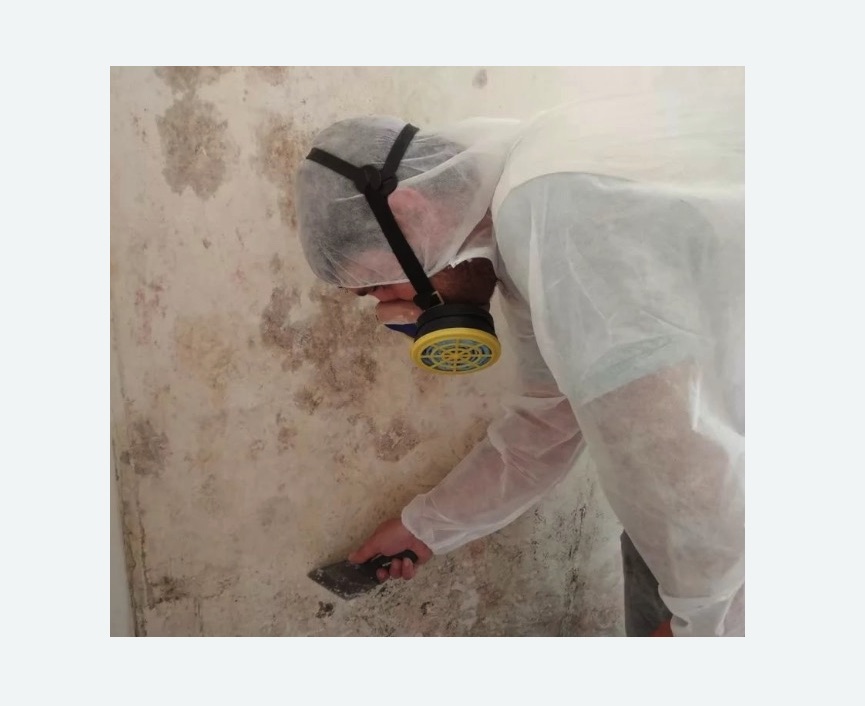 Обработка стен от плесени в Новом Осколе