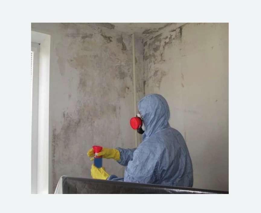 Удаление плесени в квартире в Новом Осколе