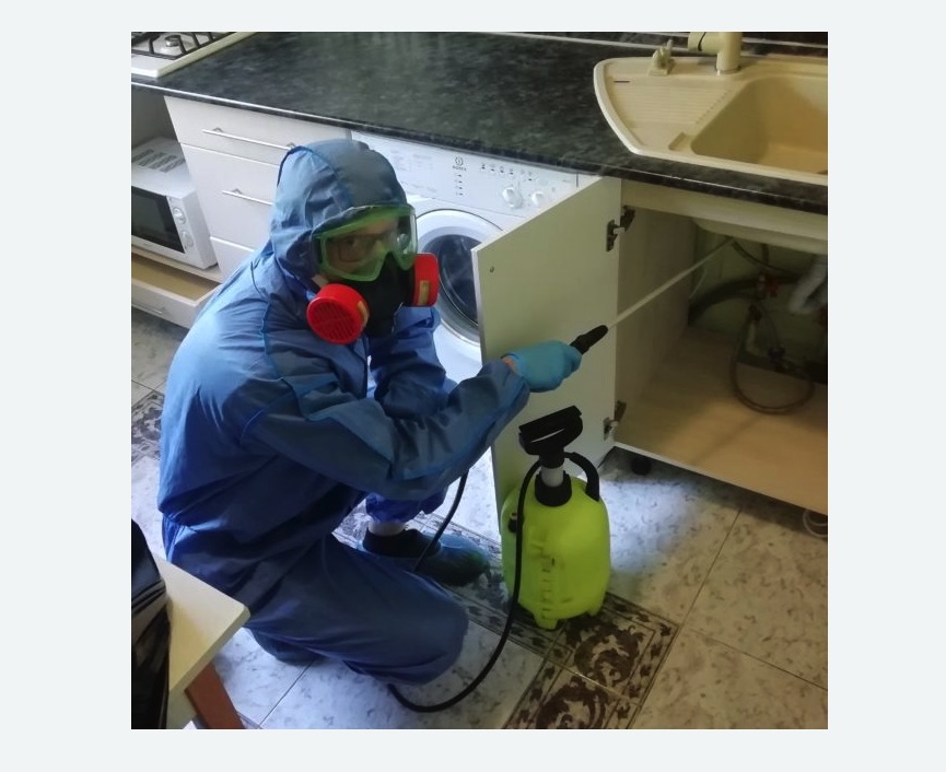 обработка от муравьев в квартире в Новом Осколе