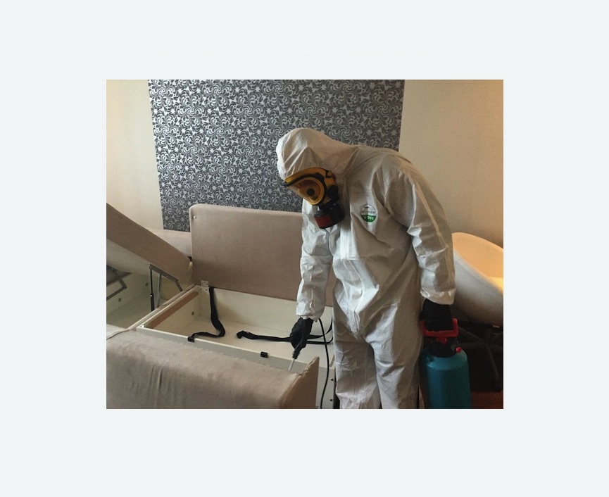 уничтожение клопов в квартире уничтожение клопов в квартире в Новом Осколе