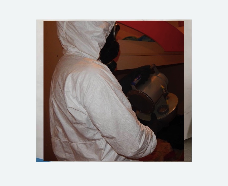 Дезинфекция от муравьев в Новом Осколе