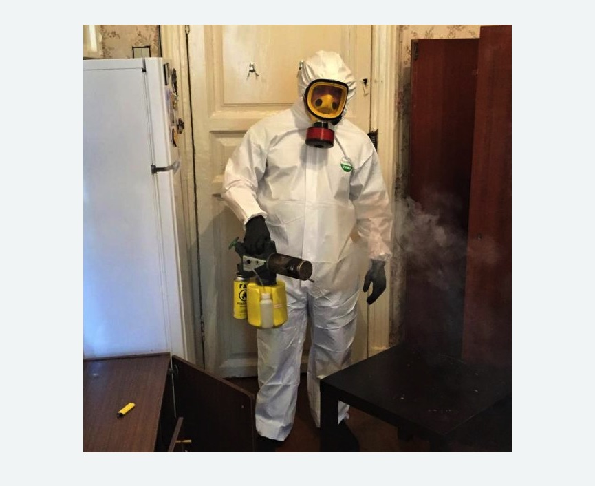 уничтожение муравьев в квартире в Новом Осколе